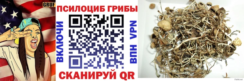где купить наркотик  Бахчисарай  нарко площадка клад  Галлюциногенные грибы прущие грибы 